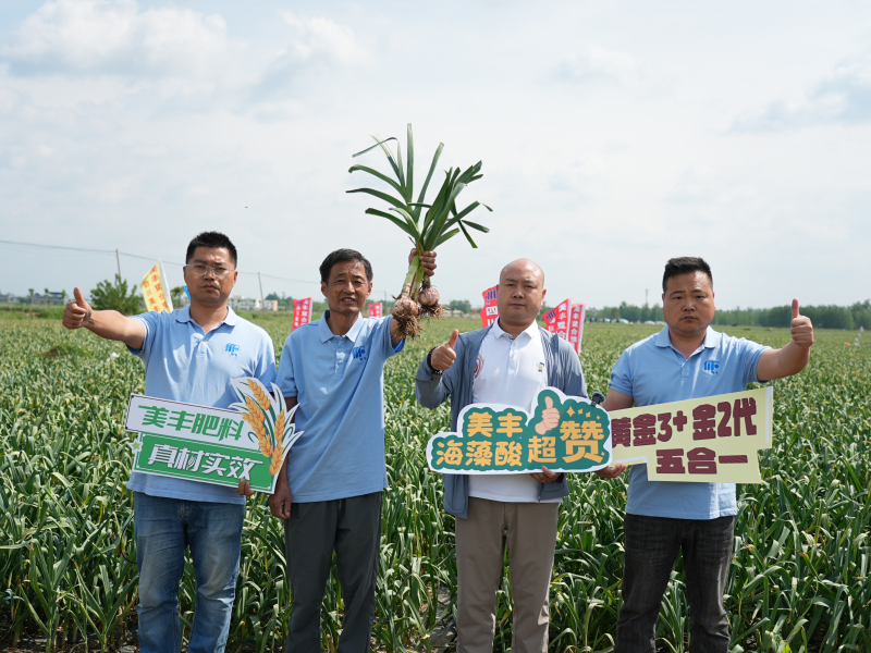 夏攻行动：bv1946伟德官网护航夏粮丰产丰收