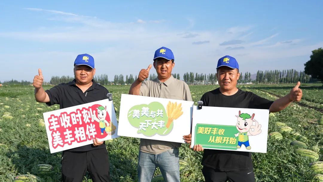 bv1946伟德官网肥助力硒砂瓜亩产过万斤